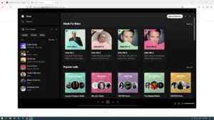 Spotify for Windows 5