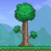 terraria