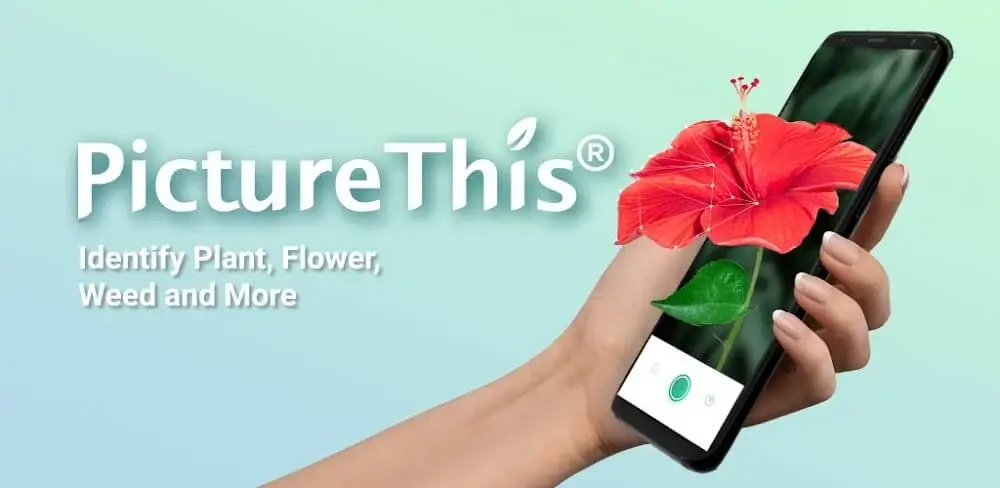 PictureThis : The Best Plant Identifier Camera App