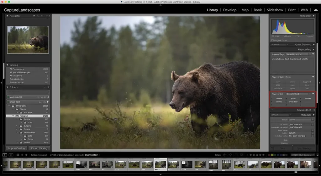 Lightroom Photo & Video Editor