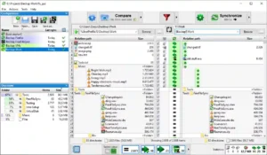 FreeFileSync for Linux 1